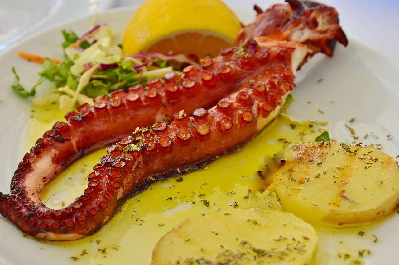 fish, squid, octopus, fish market, nature, kitchen, cook, calmar, grilled, tasty, grilling, from the grill, appetizing, yummy, food, meal, fresh, market, sale, mediterranean, healthy