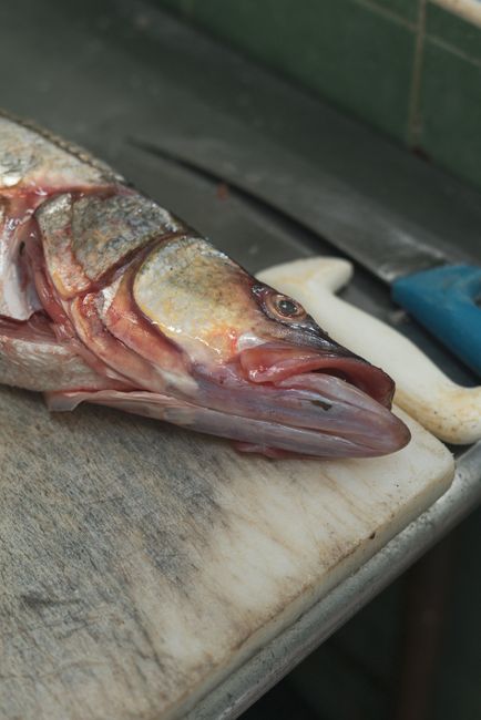 Close-up of fresh raw fish on a cutting board with knife, highlighting food preparation.