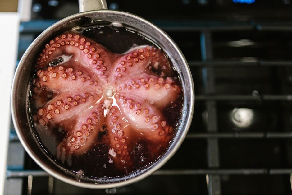 Close-up of octopus tentacles boiling in a pot on a stove.