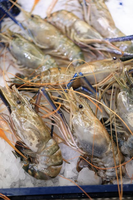 Close-up of fresh uncooked shrimps on ice in a vertical shot, showcasing seafood freshness.
