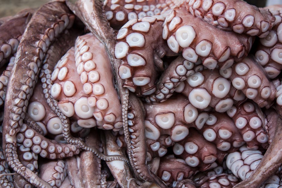 Detailed close-up of octopus tentacles highlighting texture and pattern